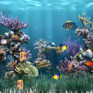 Aquarium 1 [Download]