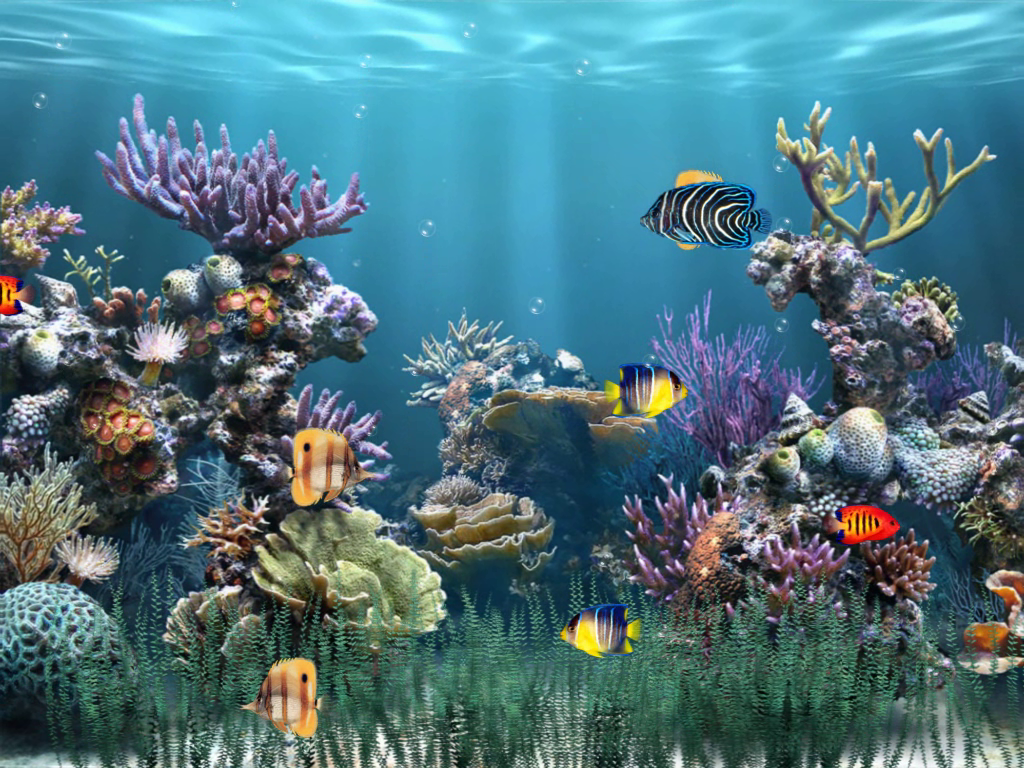 Aquarium 1 [Download]