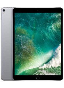 apple ipad pro 10.5in - 256gb wifi - 2017 model - gray (renewed)