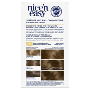 Clairol Nice'n Easy Permanent Hair Dye, 6G Light Golden Brown Hair Color, Pack of 1