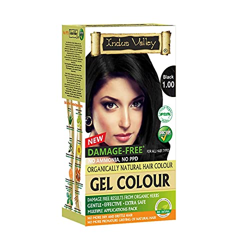 Indus Valley Natural Organic Damage Free Permanent Gel Hair Color, Ammonia Free, Vegan, Cruelty Free, Up to 100% Gray Coverage |Doctor Recommended| Bio Natural Certified- Black 1.0 (20gram+200ml) Pack of 1