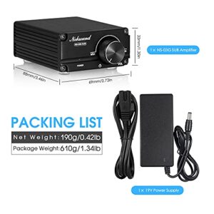 Nobsound 100W Subwoofer Amplifier Digital Power Sub Amp Audio Mini Bass Amp with Power Supply (Black)