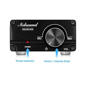 Nobsound 100W Subwoofer Amplifier Digital Power Sub Amp Audio Mini Bass Amp with Power Supply (Black)