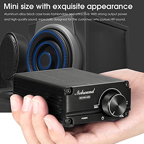 Nobsound 100W Subwoofer Amplifier Digital Power Sub Amp Audio Mini Bass Amp with Power Supply (Black)