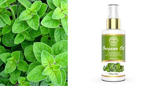 Oregano Oil Organic 2oz Pure Essential Oil Natural Wild Now Carvacrol Oreganol Oil Pump Spray Easy to Apply No Mess 60ml 2Floz