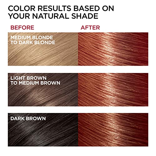 L'Oréal Paris Superior Preference Fade-Defying + Shine Permanent Hair Color, 6AB Chic Auburn Brown, 2 COUNT Hair Dye