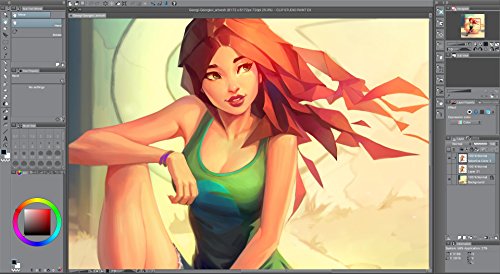 Clip Studio Paint Pro - Version 1 - for Microsoft Windows and MacOS