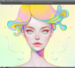 Clip Studio Paint Pro - Version 1 - for Microsoft Windows and MacOS