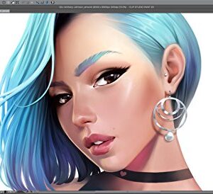 Clip Studio Paint Pro - Version 1 - for Microsoft Windows and MacOS