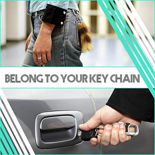 Young4us Key chain 2 Key Rings Stainless Steel Heavy Duty Car KeyChain in Metal The Perfect Combination of Luxury- (Set of 2,Black & Red)