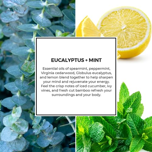 Essential Elements by Candle-lite Scented Candles, Eucalyptus & Mint Leaf Fragrance, One 14.75 oz. Three-Wick Aromatherapy Candle with 45 Hours of Burn Time, Off-White Color