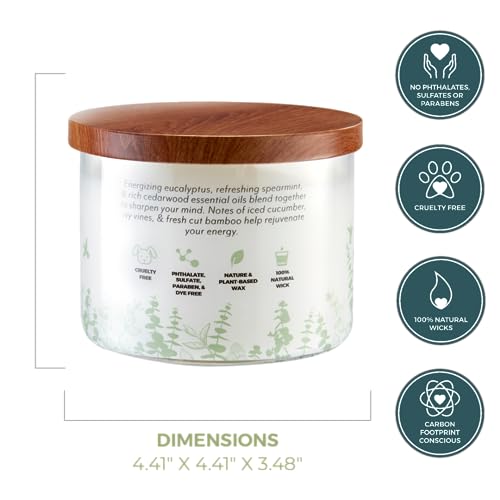 Essential Elements by Candle-lite Scented Candles, Eucalyptus & Mint Leaf Fragrance, One 14.75 oz. Three-Wick Aromatherapy Candle with 45 Hours of Burn Time, Off-White Color