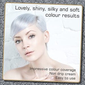 Metallic Silver Hair Dye | Stylish Silver Toner for Bleached Hair | Demi Permanent Hair Color | Added Plex Hair Anti-Breakage Technology | Smart Beauty Hair Color