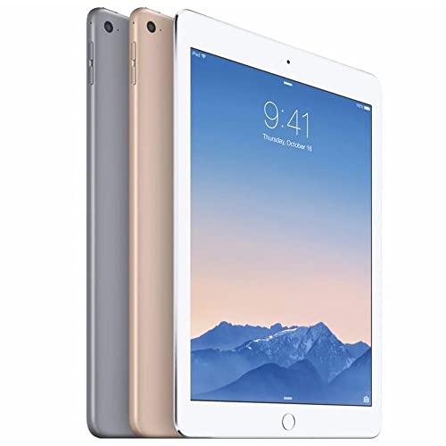 IPAD AIR 2 WI-FI 64GB GRAY (Renewed)