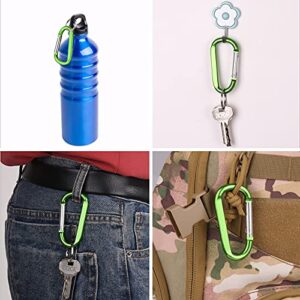 6PCS Carabiner Caribeaner Clip,3" Large Aluminum D Ring Shape Carabeaner Keychain Hook