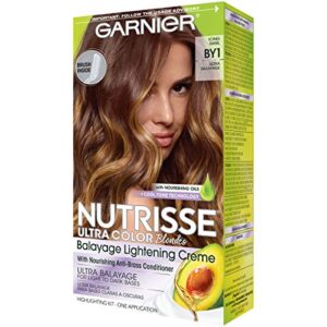 Garnier Hair Color Nutrisse Ultra Color Nourishing Hair Color Creme, Icing Swirl By1, 1 Count