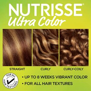 Garnier Hair Color Nutrisse Ultra Color Nourishing Hair Color Creme, Icing Swirl By1, 1 Count