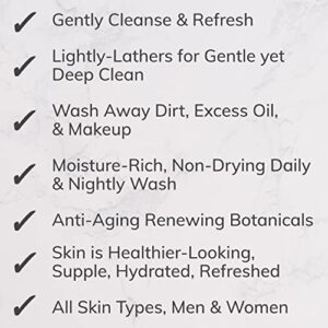 Ktchn Apothecary Hydrating Face Wash, Daily Foaming Facial Cleanser + Makeup Remover, High-Performing yet Gentle Anti Aging Formula, Freshly Made with Natural & Clean Ingredients, Nourishing & Non-Drying, Pack of 2 ($45 Value)