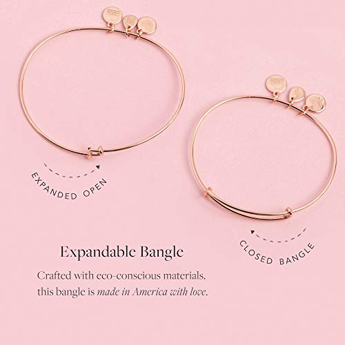 Alex and Ani Tokens Expandable Bangle for Women, Hummingbird Charm, Rafaelian Rose Gold Finish, 2 to 3.5 in