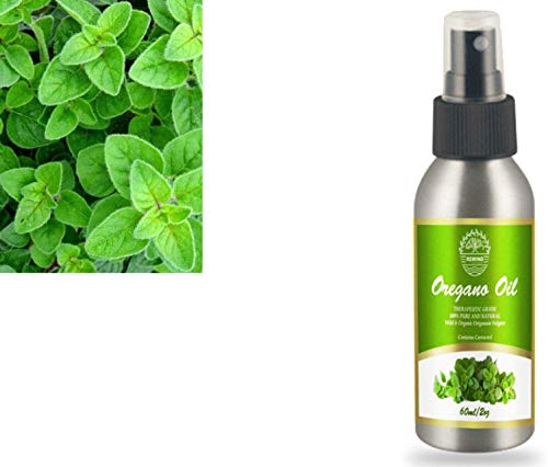 Essential Oil of Oregano - New Atomizer 2Oz Large 100% Pure Undiluted, Non GMO, Oregano Oil - Best Carvacrol