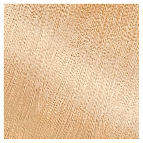 Garnier Nutrisse Ultra Color Hair Color and Anti-Brass Treatment, LB1 Ultra Light Cool Blonde, Pack of 1