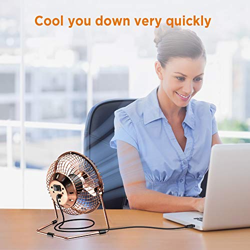 EasyAcc 6 Inch USB Desk Fan,Small and Quiet,Powerful USB Powered Portable Fan,Strong Airflow,Mini Metal USB Fan,360°Rotation,Personal Cooling Fan with 2 Speed for Home Office,Bronze(USB POWERED ONLY)