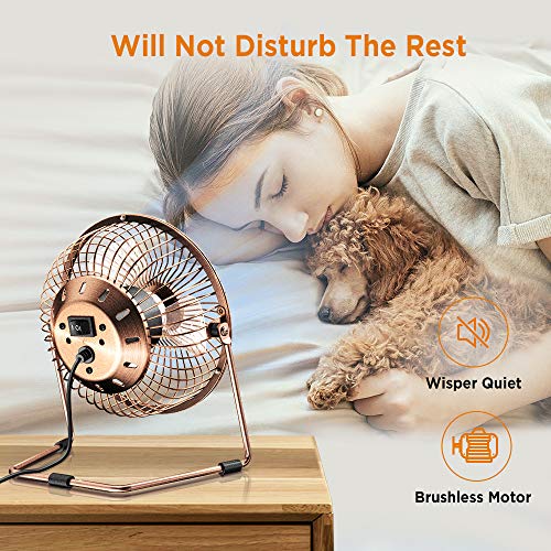 EasyAcc 6 Inch USB Desk Fan,Small and Quiet,Powerful USB Powered Portable Fan,Strong Airflow,Mini Metal USB Fan,360°Rotation,Personal Cooling Fan with 2 Speed for Home Office,Bronze(USB POWERED ONLY)