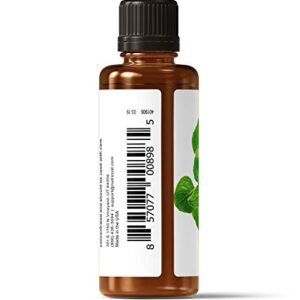 Nutricost Oregano Essential Oil - 100% Pure Oregano Oil - 1 Fl Oz (30 ml)