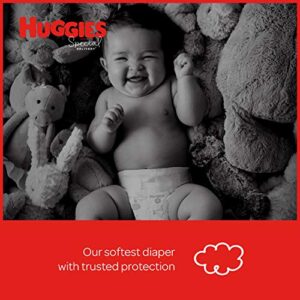 HUGGIES Special Delivery Hypoallergenic Baby Diapers, Size 6, 17 Count