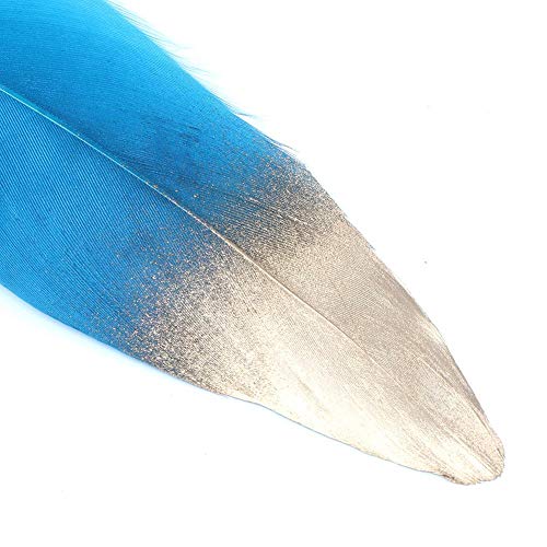 Wal front European Feather Quill Pen Set Feather Calligraphy Pen Kit Feather Dip Pen Gift Set Fountain Pen(Sky Blue)