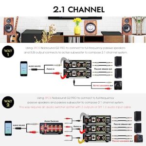 Nobsound G2 PRO Hi-Fi 300W Subwoofer Power Amplifier Mono Channel Class D SUB Audio Amp