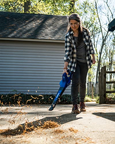 WILD BADGER POWER 20V Weed Eater/Wacker,Leaf Blower,Wheeled Edger Kit Electric with 2 * 2Ah Battery & Charger,String Trimmer,Lightweight, Adjustable Telescopic Shaft, Easy to Use and Convert