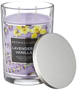 aromascape pt41899 2-wick scented jar candle, lavender & vanilla, 19-ounce, purple