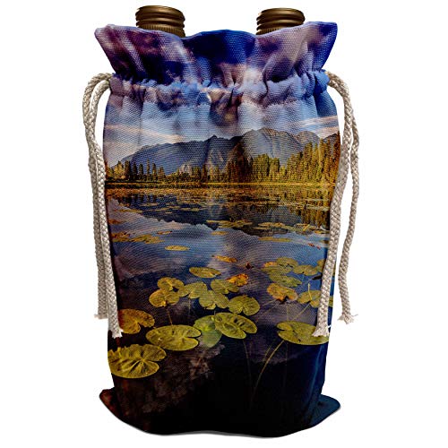 3dRose Danita Delimont - Scenics - Lilly pads and Swan Range, McWennger Slough, Kalispell, Montana, USA - Wine Bag (wbg_314923_1)