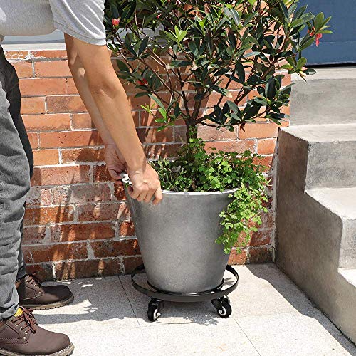 Amagabeli Garden Home 2 Pack 14" Plant Caddy with Wheels Heavy Duty Iron Wheeled Stand Brake Round Pot Mover On Roller Dolly Holder Indoor Outdoor Planter Trolley Casters Rolling Coaster Metal BG2071