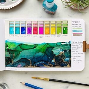 T-Rex Inks Premium Alcohol Inks Starter Set- 12 Vibrant XL Colors - Alcohol Ink for Epoxy Resin Dye, Painting, Tumbler Making & More - Storage Box & Alcohol Ink Blending Solution - 20ml Bottles