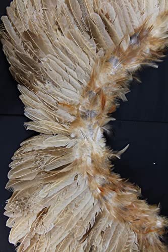 Nature Brown Turkey and goose Feather, Angel Wings Costume, Party, Photography Fun Dress Up Angel Wing (Nature -002)