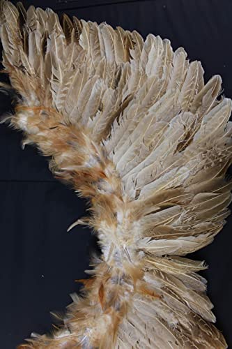 Nature Brown Turkey and goose Feather, Angel Wings Costume, Party, Photography Fun Dress Up Angel Wing (Nature -002)