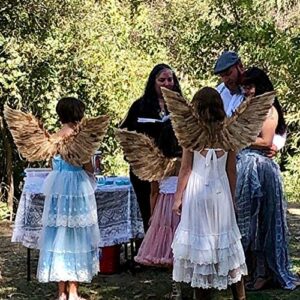 Nature Brown Turkey and goose Feather, Angel Wings Costume, Party, Photography Fun Dress Up Angel Wing (Nature -002)