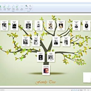 Family Tree Explorer 9 PREMIUM - Genealogy software - compatible with Windows 10, 8.1, 7 - compatible with the international GEDCOM format