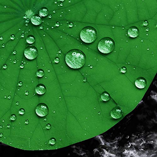 WILLBOND 12 Pieces 4 Kinds Artificial Lotus Leaves Floating Foam Ornament Lily Pads Foliage Pond Decor Water Lily Leaves for Patio Koi Fish Pond Pool Aquarium Decoration