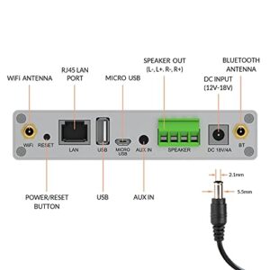 Arylic A30+ WiFi & Bluetooth 5.0 Mini Stereo Amplifier, 2 Channel Class D Wireless Amplifier, Home Amplifier for Speakers with spotify,airplay,Multiroom/multizone Digital Audio Speaker Amp