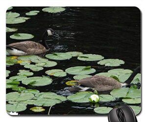 mouse pad - geese lilly pads pond water goose waterfowl