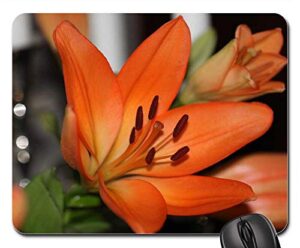 mouse pad - lilly flower nature flora petal summer garden