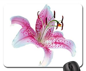 mouse pad - lilly bright white pink flower flora nature