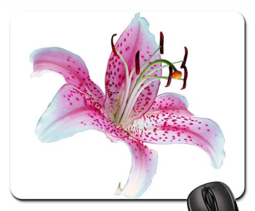 Mouse Pad - Lilly Bright White Pink Flower Flora Nature