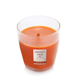 Nature's Wick Pumpkin Nutmet Scented Candle, 10 ounces, Medium