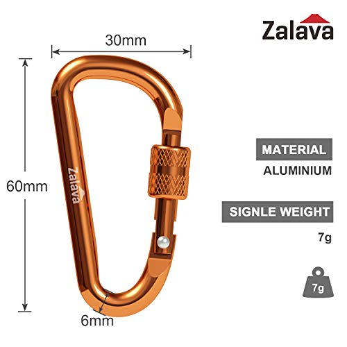 Zalava 6pcs 2”D-Clip Durable Locking Carabiner Keychain Clip,Keychain Clip Hook