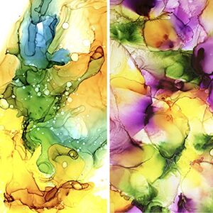 Alcohol Ink Set - Alcohol Ink for Epoxy Resin, Alcohol Ink Supplies, Tumbler Making Supplies, Resin Ink, Dye Inks 25 Large 0.5 Ounce Highly Saturated Colors