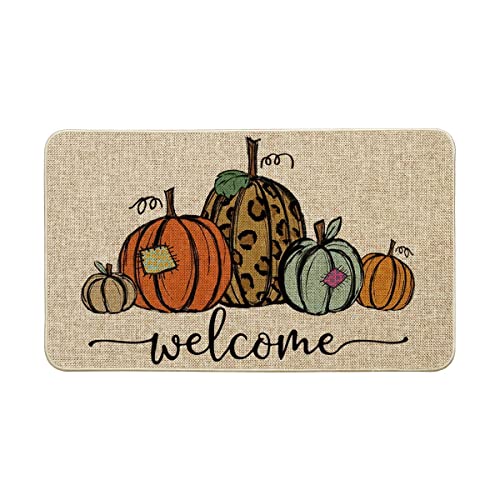 Artoid Mode Pumpkin Welcome Decorative Doormat, Fall Thanksgiving Rustic Yard Floor Mat Switch Mat for Indoor Outdoor 17 x 29 Inch